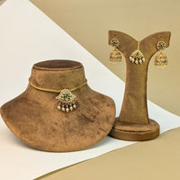 Lakshmi Coin South Indian Rajwadi Necklace Set