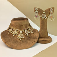 Peacock Bridal South Indian Rajwadi Necklace Set