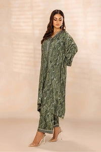 Safwa | Garden – 2PC Stitched Suit (P000653) - Mmall