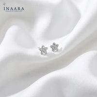 Aster Studs