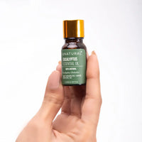Eucalyptus-Essential-Oil