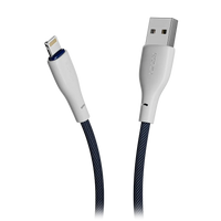 R-2025 iPhone Cable