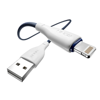R-2025 iPhone Cable
