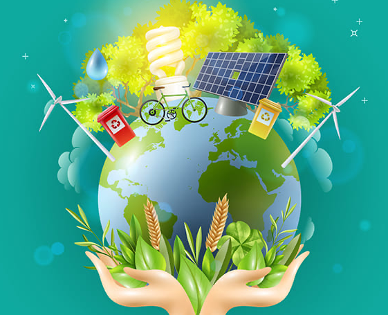Sustainable Living Tips That Actually Save Money