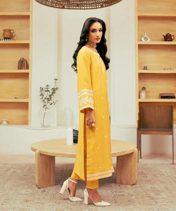 2PC - Embroidered Cotton Silk Suit - Kross Kulture 