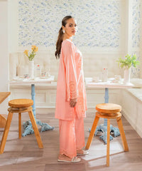 2PC - Embroidered Cotton Silk Suit - Kross Kulture 