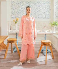 2PC - Embroidered Cotton Silk Suit - Kross Kulture 