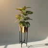 Many plant premium Quality Gold Pot iron stand premium Quality medium size