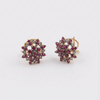 Ruby Starlet Studs