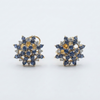 Sapphire Starlet Studs