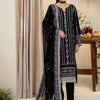 3 Piece - Embroidered Karandi Suit