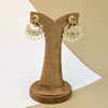 Sitara Drop Stone Earrings