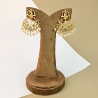 Afshan Sparkle Stone Earrings