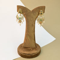 Toran Leaf Stone Earrings