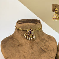 Matte Gold South Indian Rajwadi Necklace Set