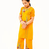 2 Pcs Embroidered Suit