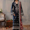 Printed Embroidered Suit