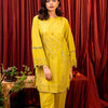 2 Piece - Embroidered Lawn Suit