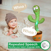 Cactus Toy [KT-824]