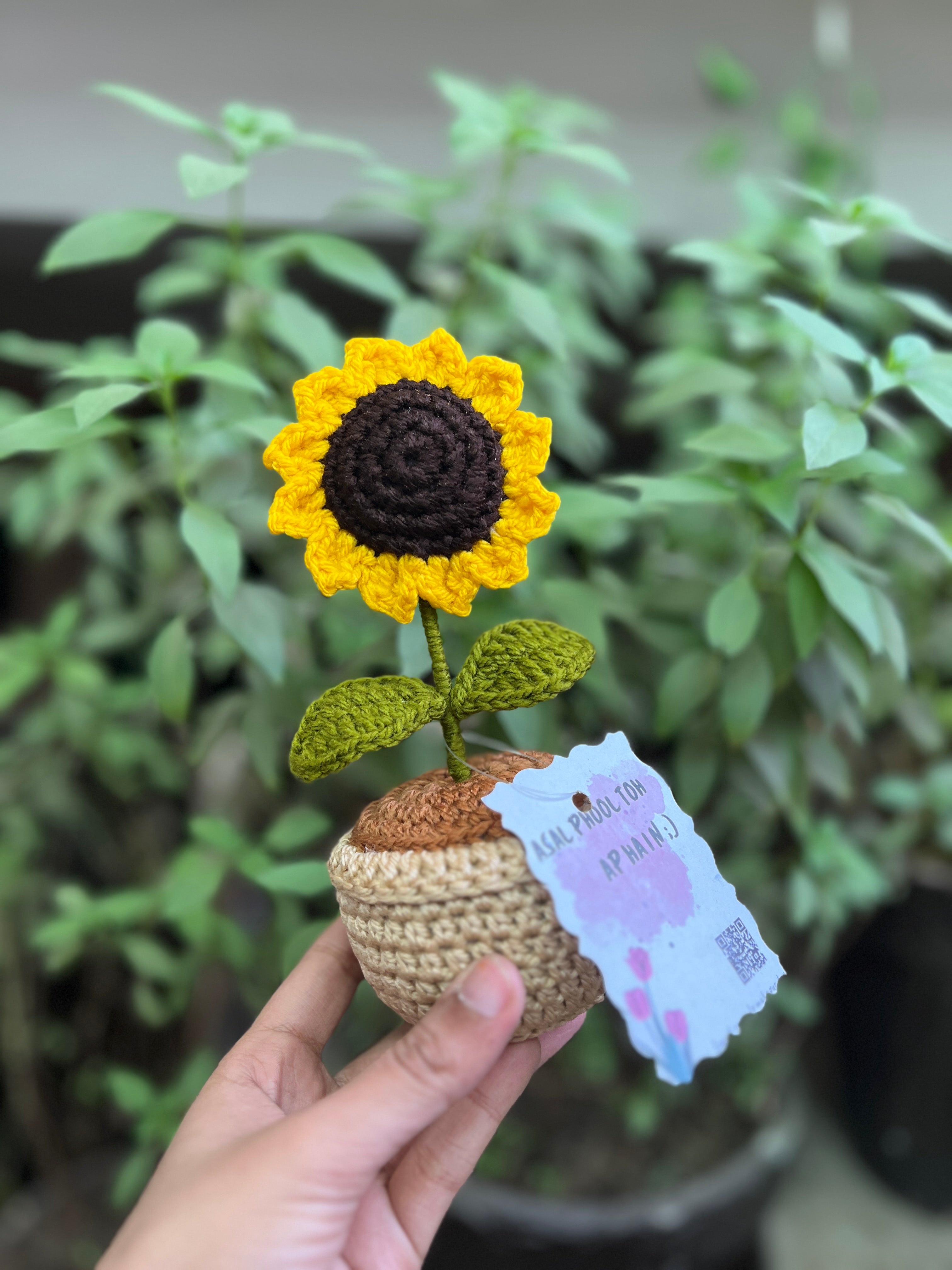 Meri Soorajmukhi - Crochet Sunflower Gift Box Gulyarn