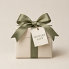 Mystery Gift