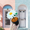 Crochet Daisy Pot