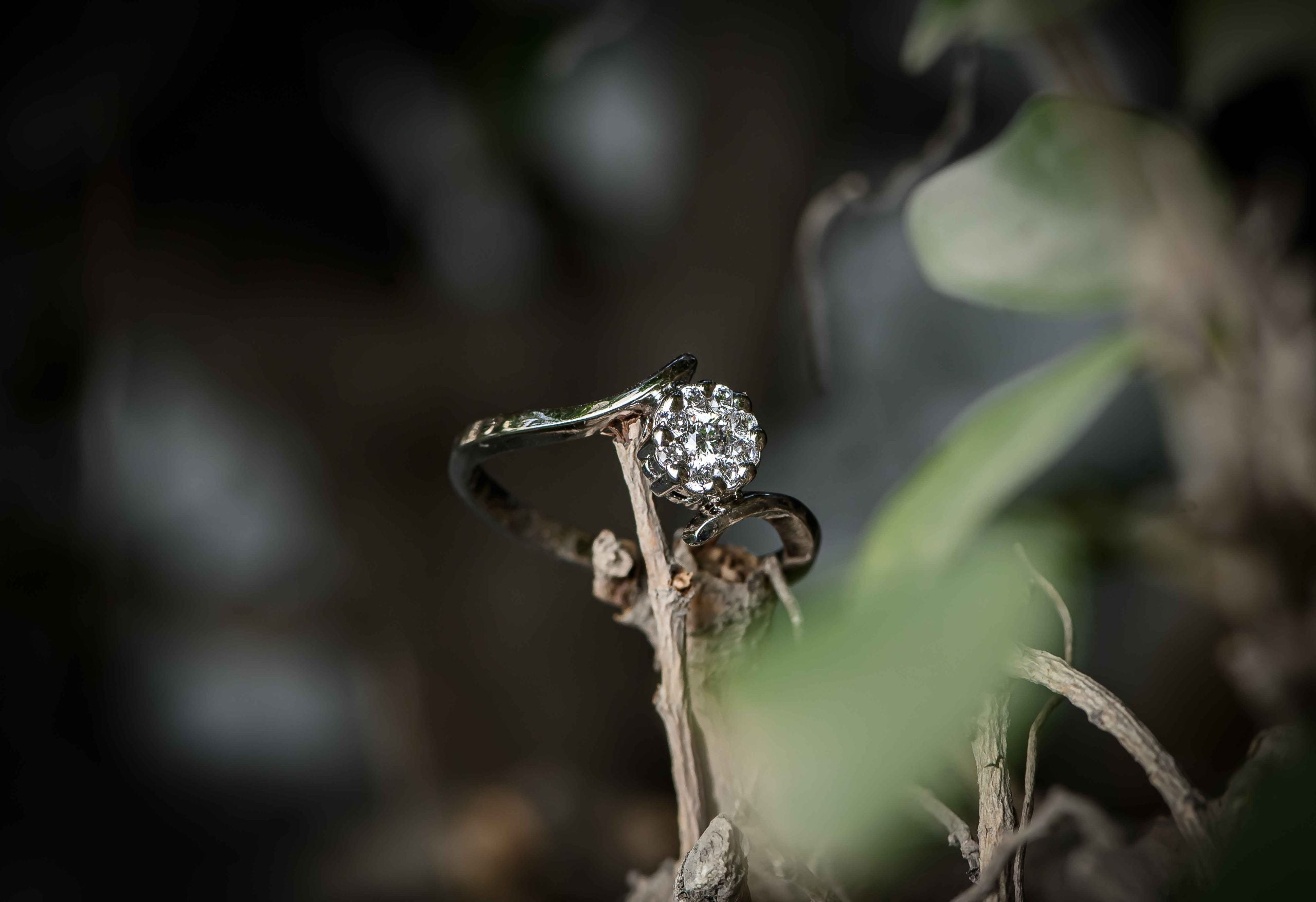 Stylish Zircon Ring