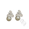 Zircon Fern