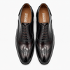 R-Browntwo Royal Two Tone Brogue Laced Shoe
