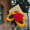 Four Suns & a Rose