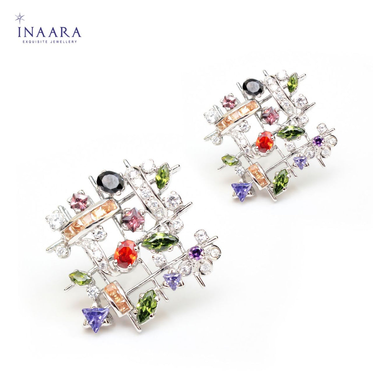Multi Colour Earrings