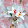 Lilly's Melody