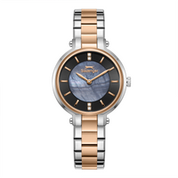 Slazenger SL.9.2593.3.550 Supermetal Women Watch - Nizam Watch House