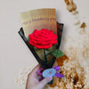 Scented Crochet Rose