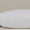 Medium Density Pillow
