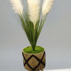 Pampas Flower With Imported Stand Portable  Height 4Ft