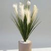 Pampas Flower With Imported Stand Portable  Height 5.2Ft