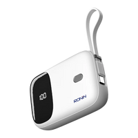 Neutron | R-4030 10,000mAh Power Bank