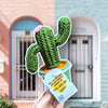 Crochet Cactus Pot