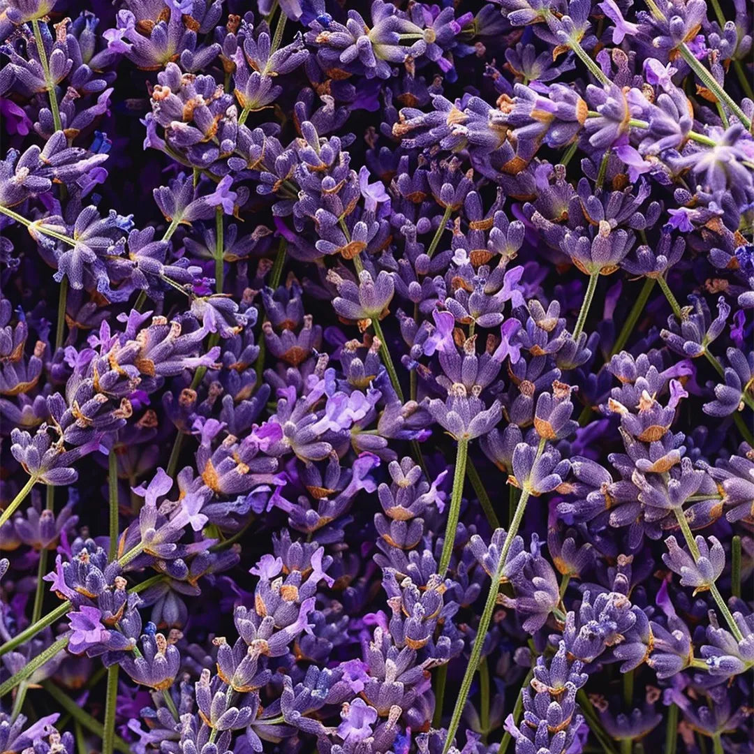 Mmall