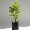 Medium size Areca Palm with medium GRP Planter