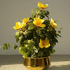 Mignolia Flowers Arrangements with Stainless Steel Gold Vase