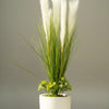 Small GRP Planter Premium Quality Pampas Flowers