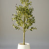 Olive Plant with White GRP Planter Premium Quality Large Size