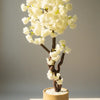 FRC Stone Planter Premium Quality with White Blossom Plant